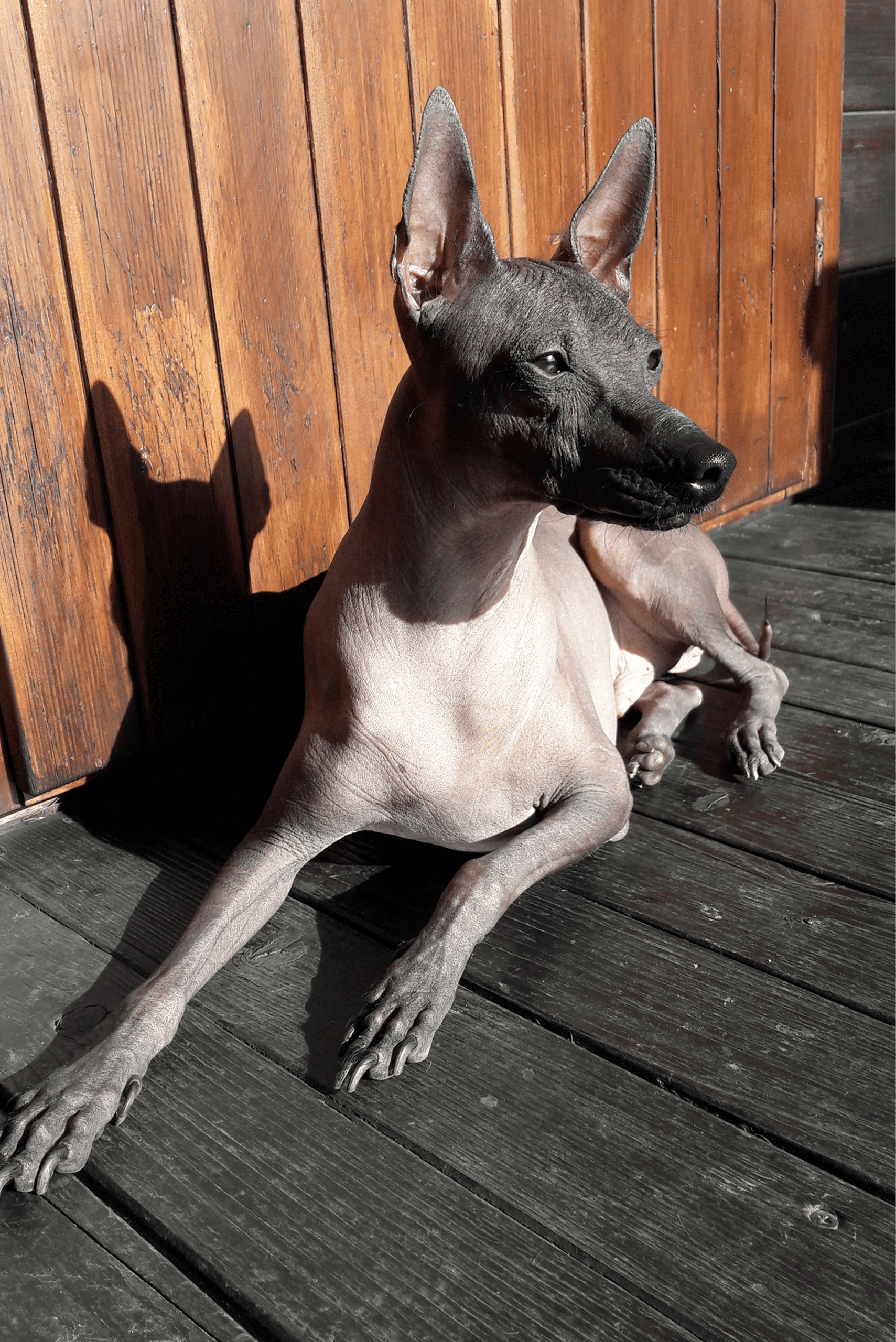 20190501_174726.jpg
