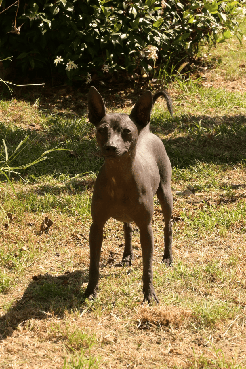 DSC_4077.01
